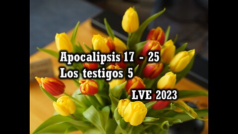 Apocalipsis 17 - 25 - Los testigos 5