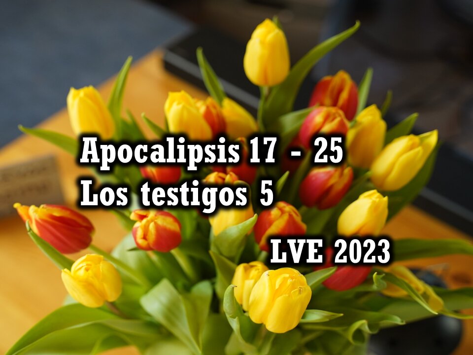 Apocalipsis 17 - 25 - Los testigos 5