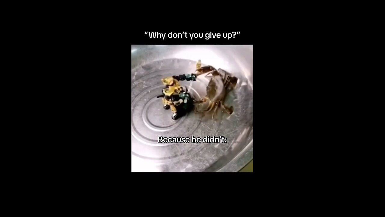 Never Give Up