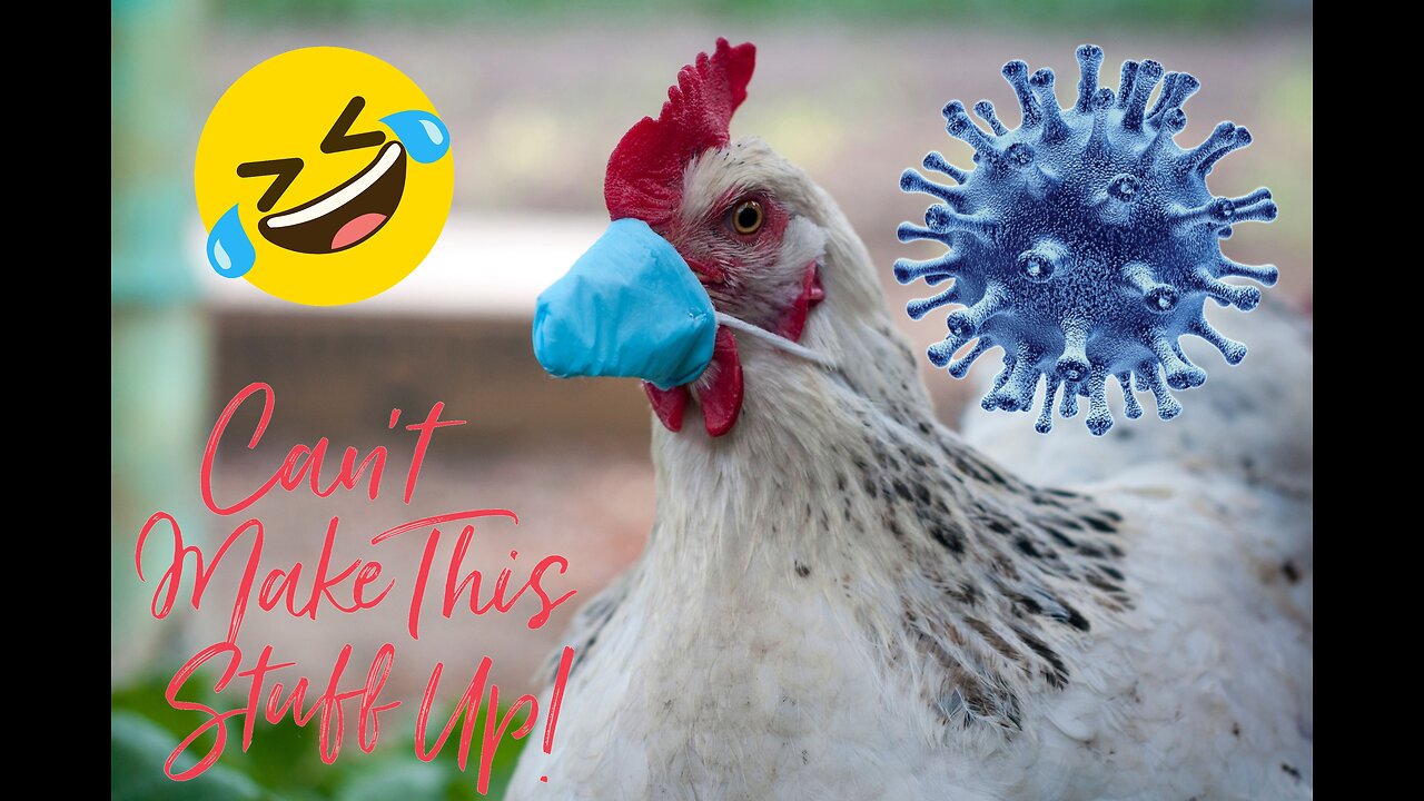 Bird Flu You Can't Make This Shit Up!