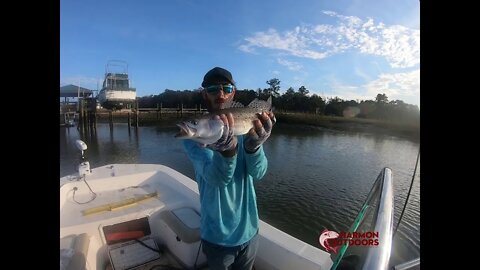 NEW TROUT HOLE BEAUFORT