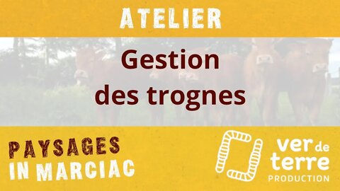 Atelier "Gestion des trognes"