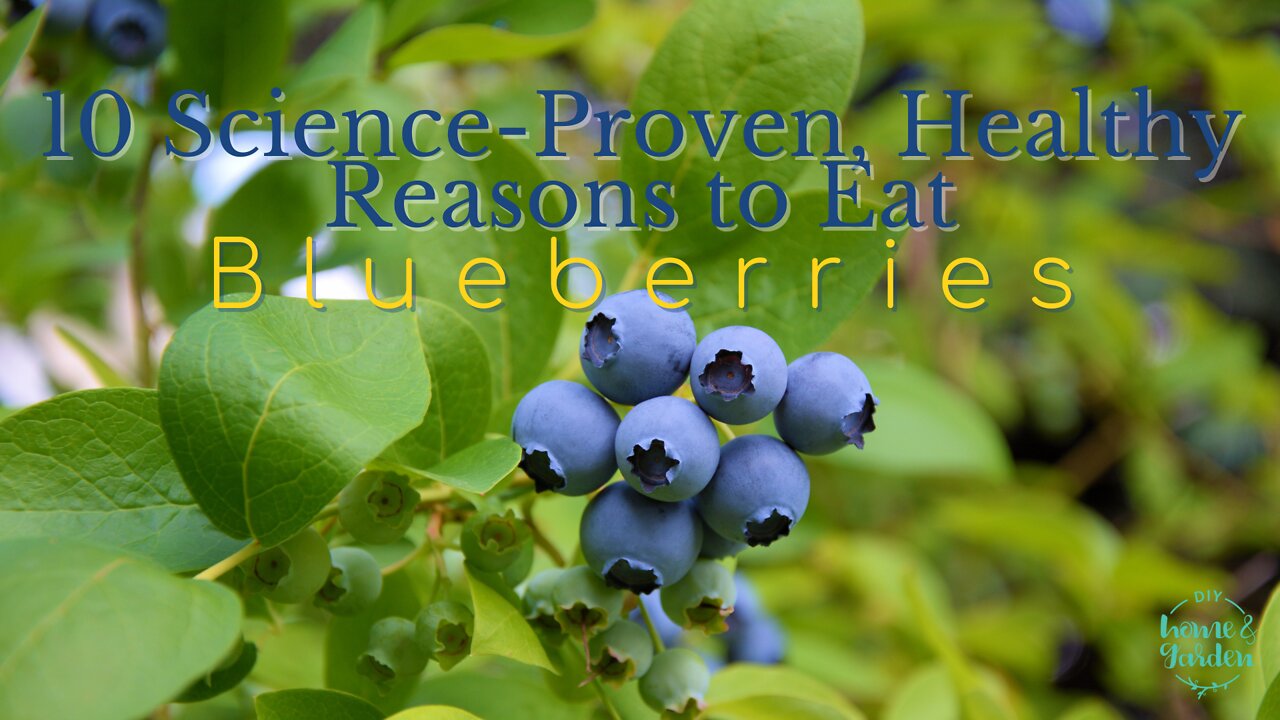 Blueberries: 10 Science-backed Reasons to Add Them to Your Diet (so healthy!)