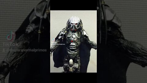Predator