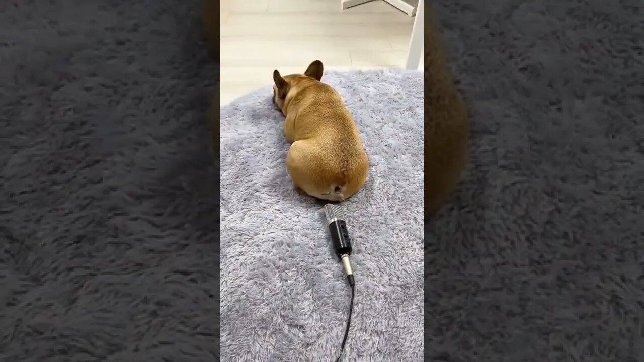 não fui eu 😂😂😂