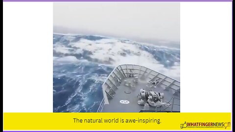 The natural world is awe-inspiring.