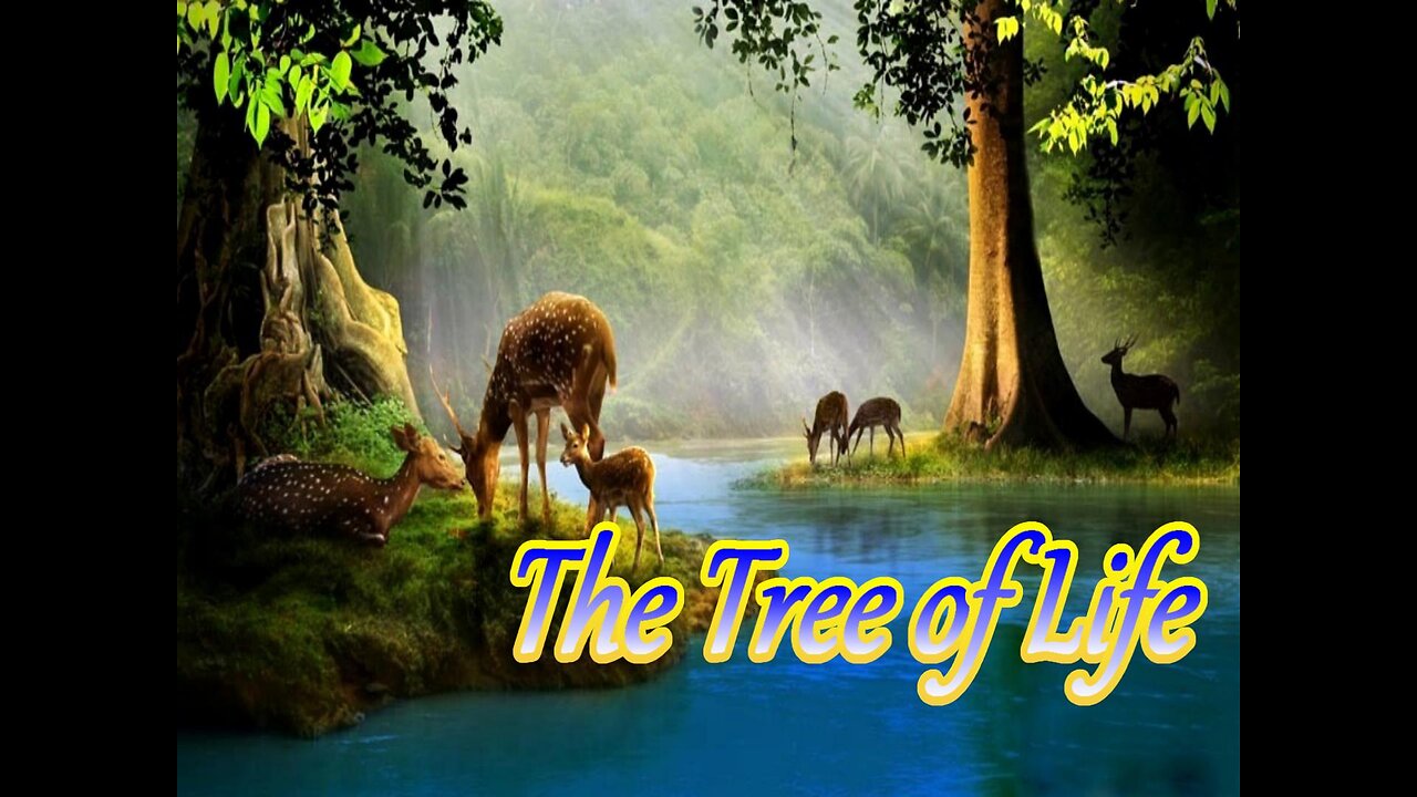 The Tree of Life