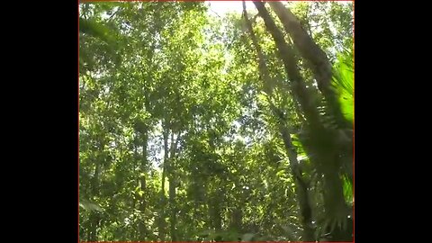 ▶ EXTRAIT-RQ (12 mars 23) : LE VERDISSEMENT (ENG)