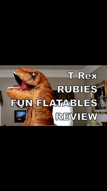 Rubies Fun Flatables T Rex review