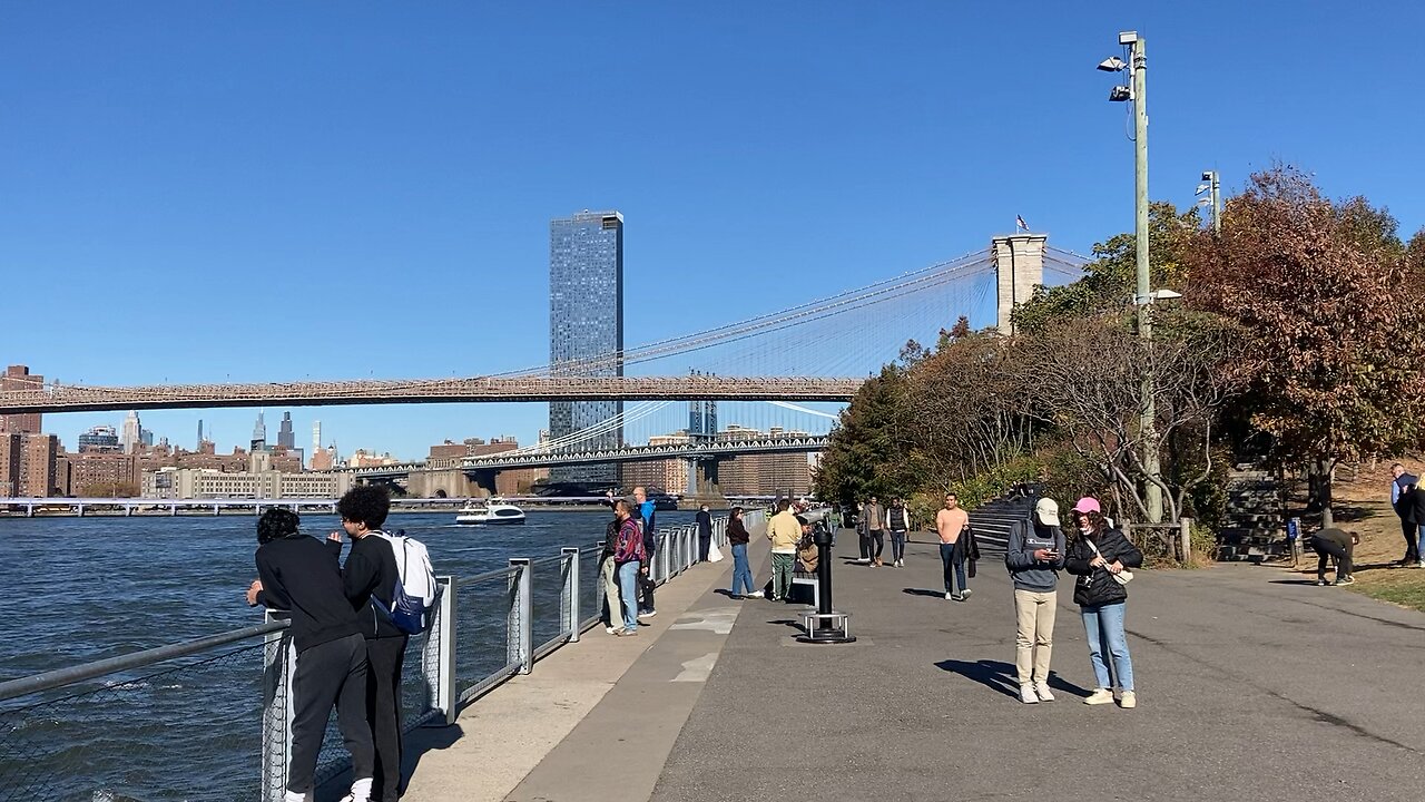 Brooklyn Bridge Park (Pier 1)