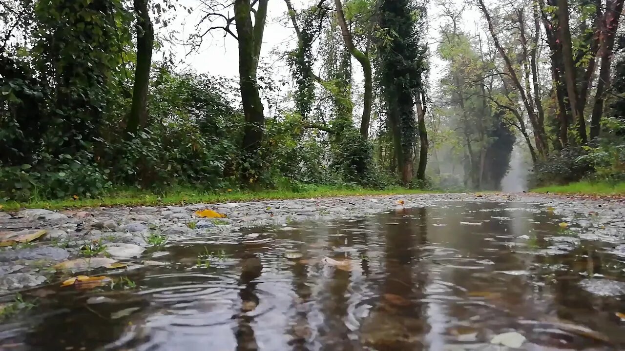 Rainstorm Sounds for Relaxing, Focus or Deep Sleep | Nature White Noise (1 Hour)