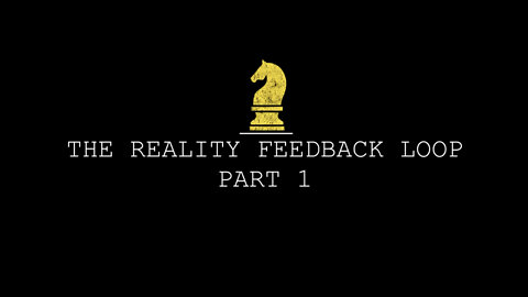 THE REALITY FEEDBACK LOOP PT1.