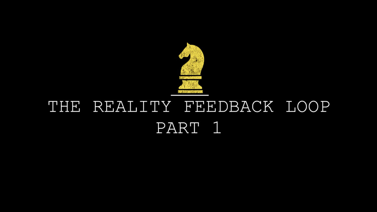 THE REALITY FEEDBACK LOOP PT1.