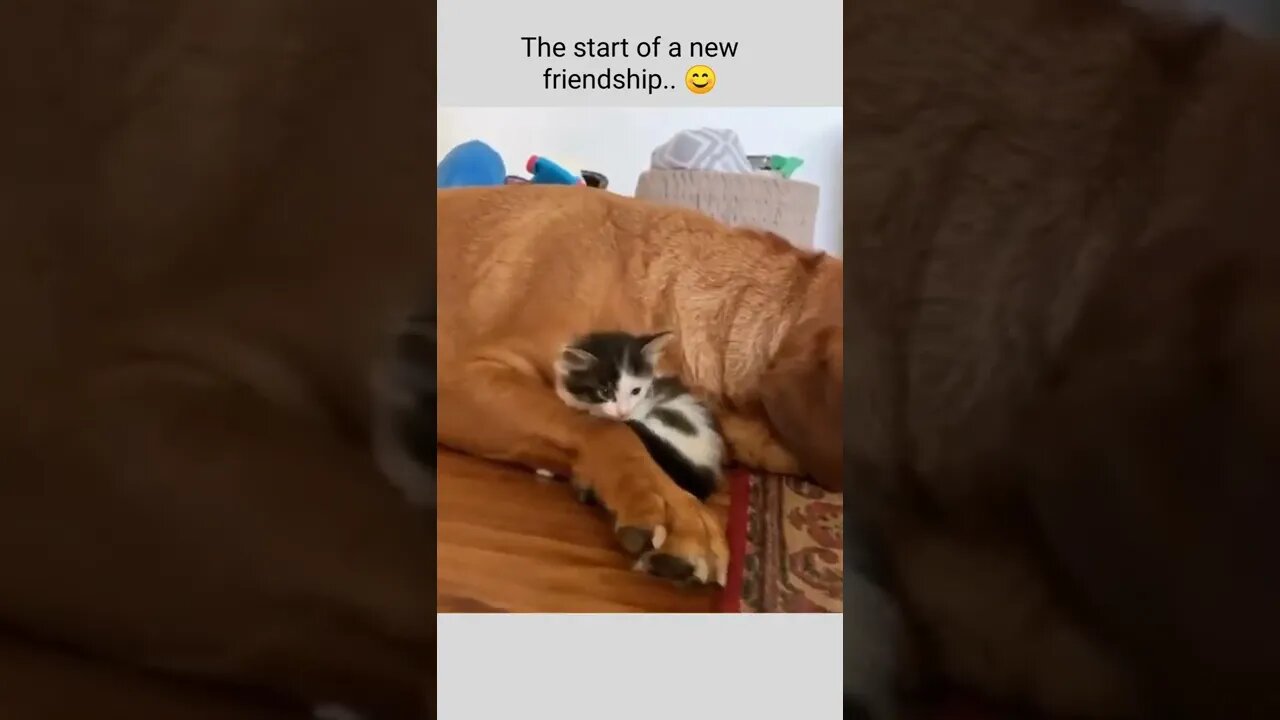 The start of a new friendship.. 😊