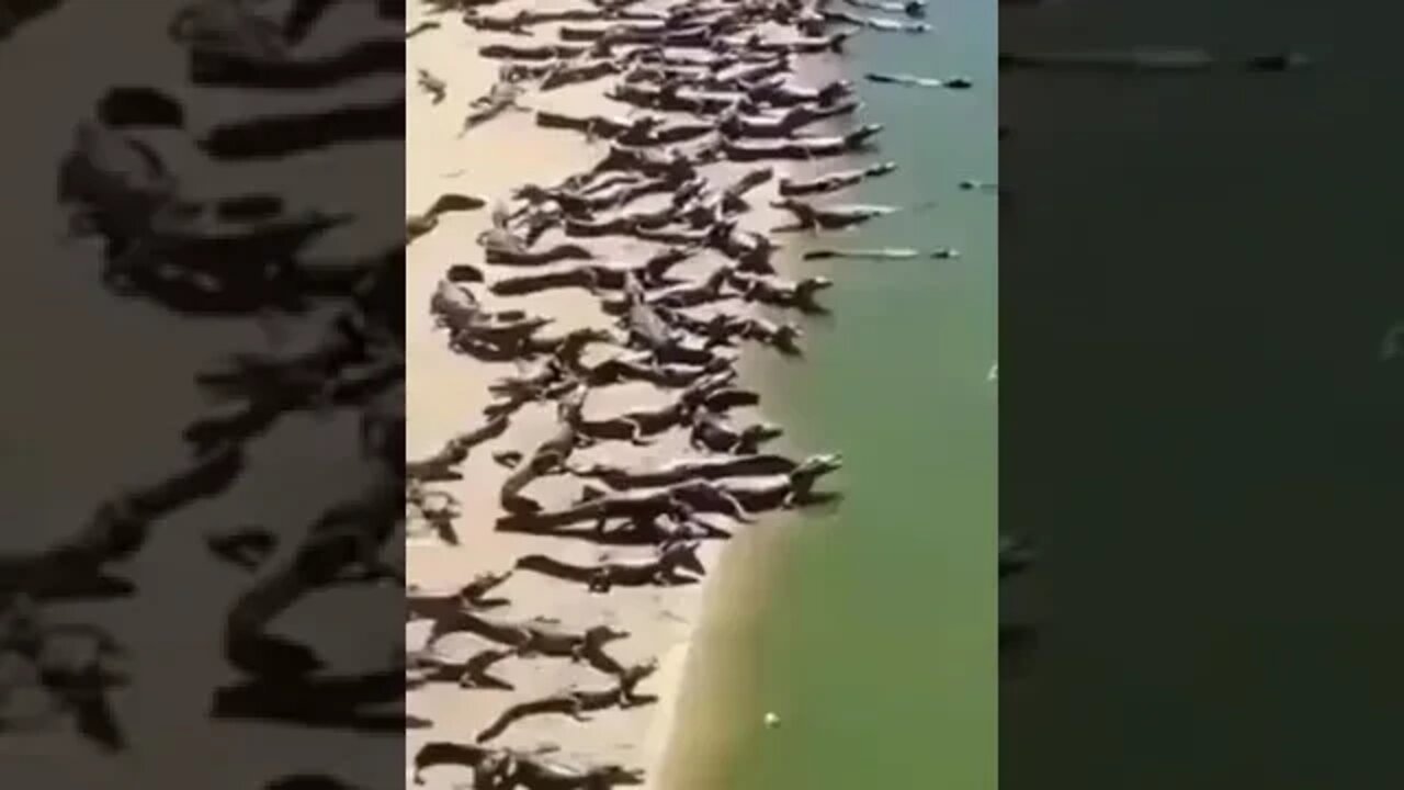 ۱۶ سپتامبر ۲۰۲۲