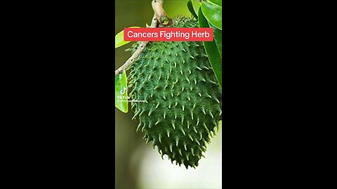 Herbs that help fight Cancer, AIDS, Herpes & More