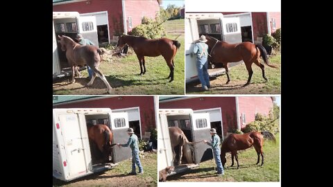 Advancing trailering skills - JJ & Hank - 3 Oct 2022