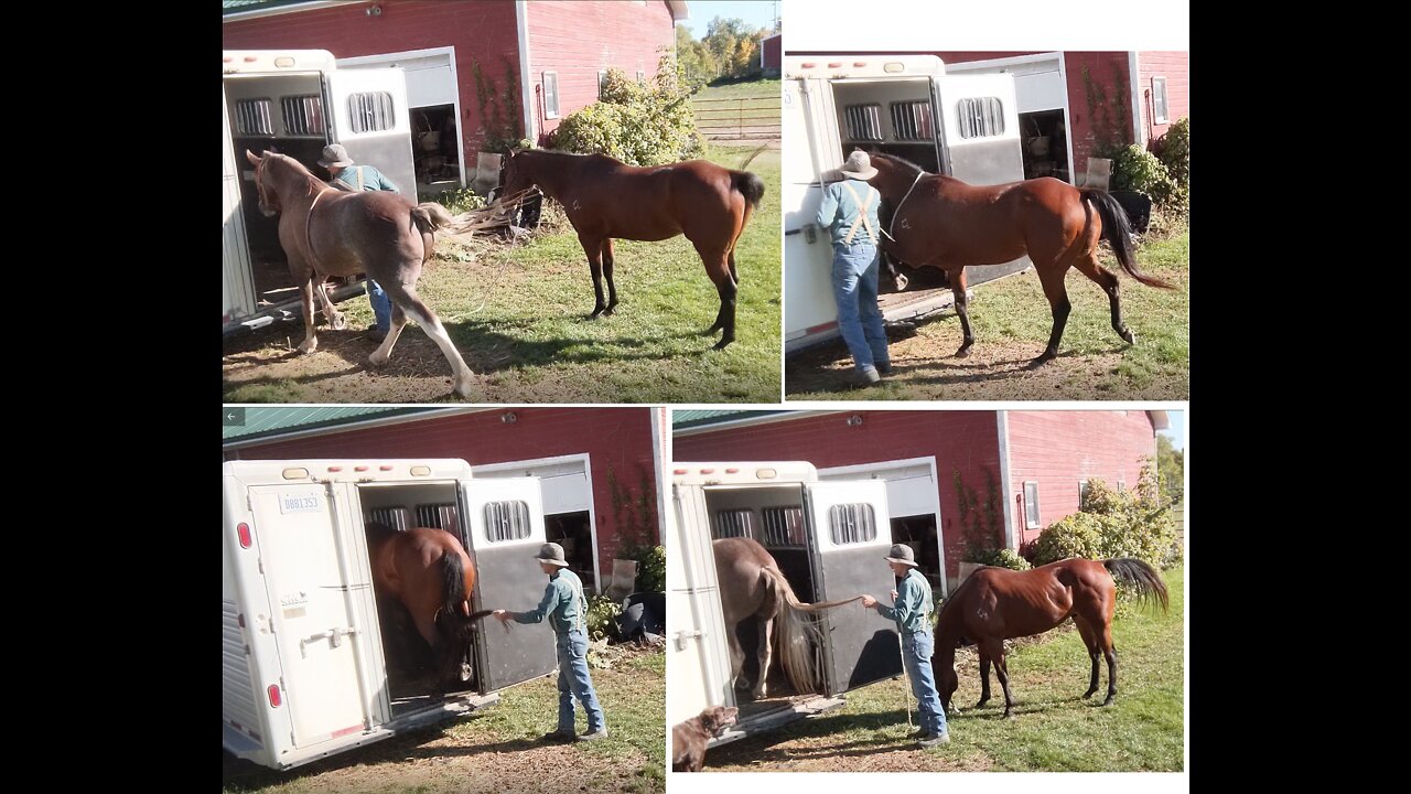 Advancing trailering skills - JJ & Hank - 3 Oct 2022