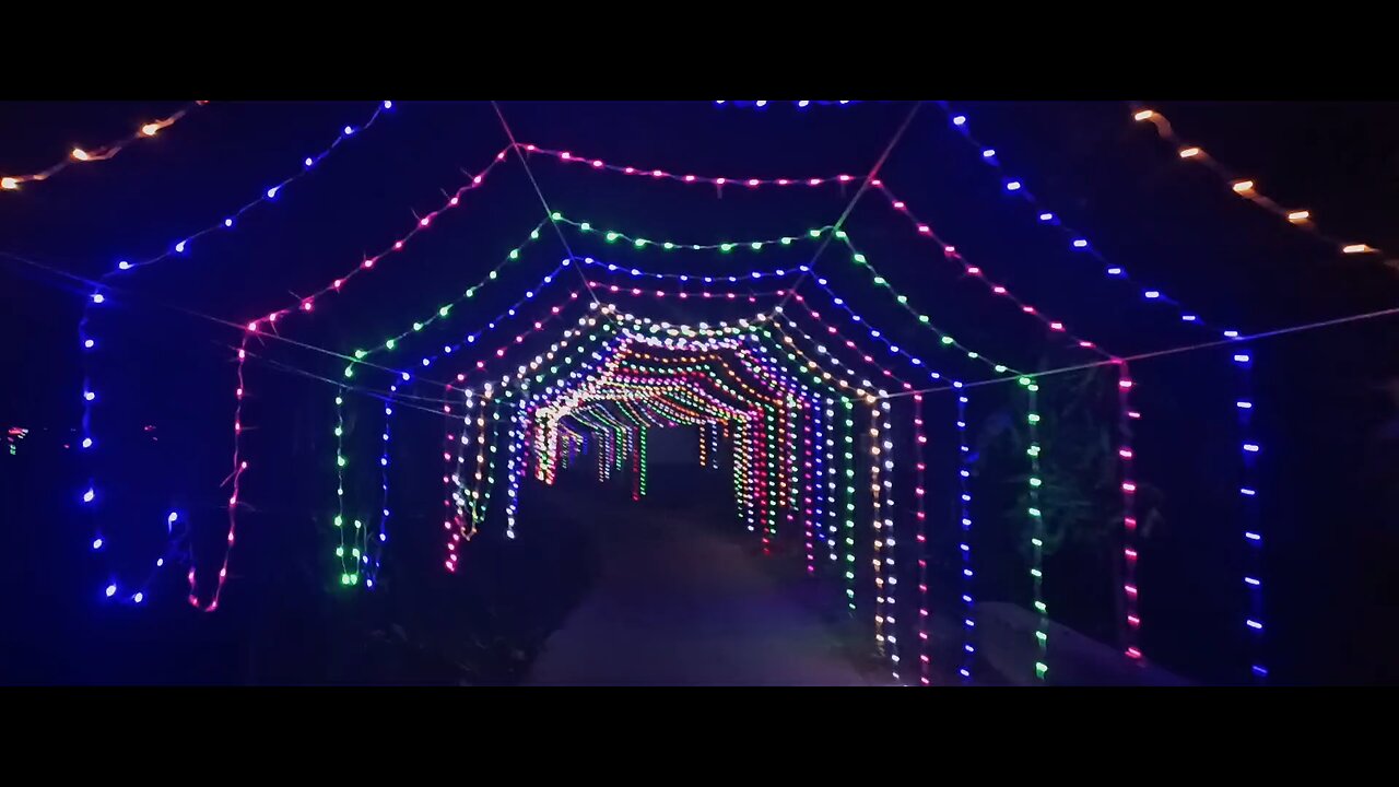 Light Decoration for Diwali in India 🔥