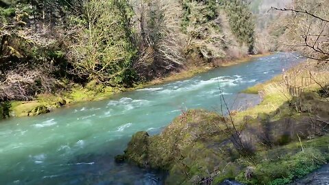 The Trask River - a world class salmon and Steelhead destina