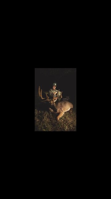 Perfect Shot On Early Season Velvet Buck! (WIDE BUCK!)