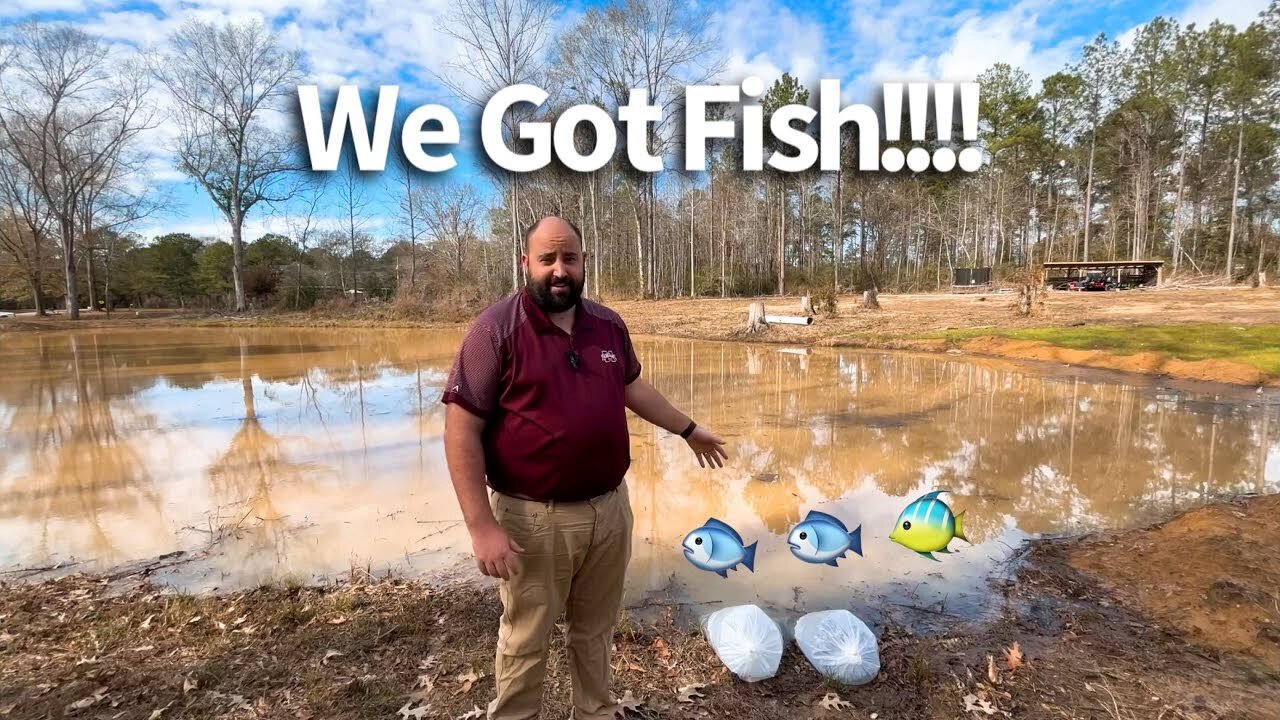 I Bought 500 Fish To Stock The Pond!!