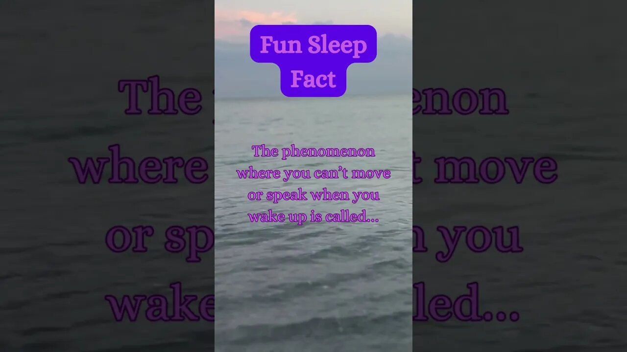 Beach Sleep Secret? 😴🏖️ | Surprising Fact Revealed! @AmbientNoiseCo. #beachvibes #facts #ocean