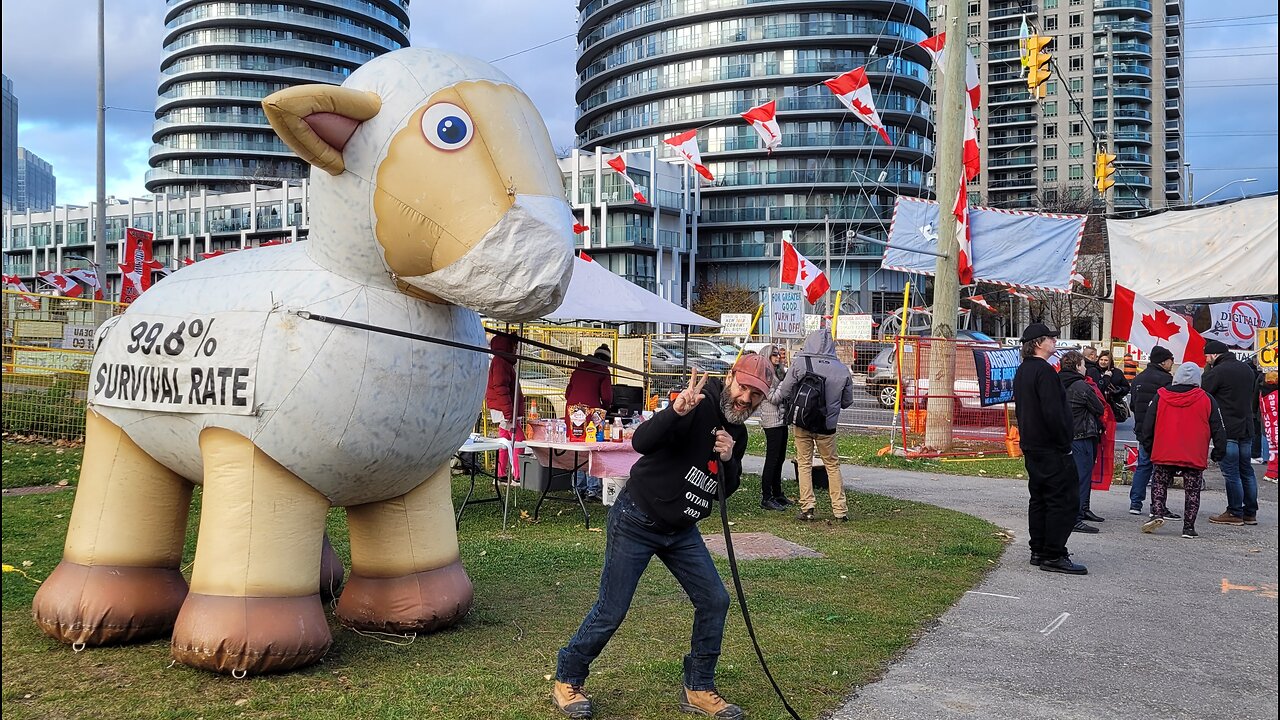 2024 11 24 Mississauga protest