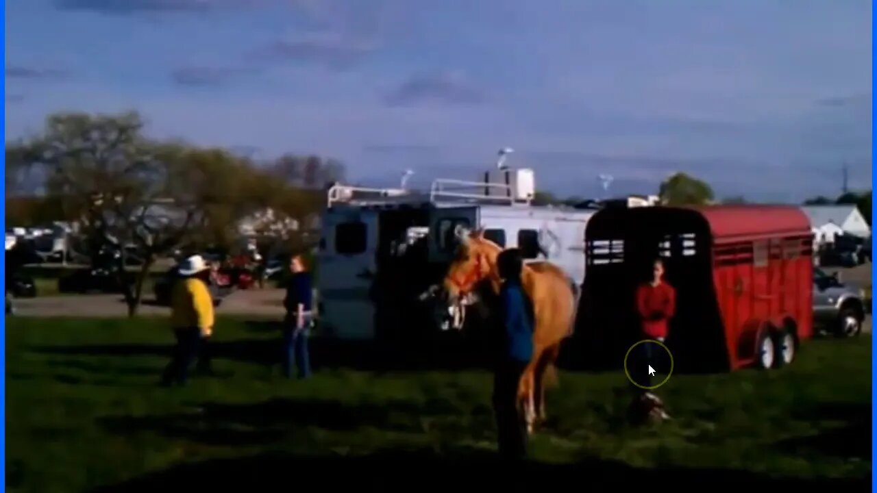 Using A Plastic Bat To Trailer Load A Horse - Why This Is The Wrong Way To Load A Horse