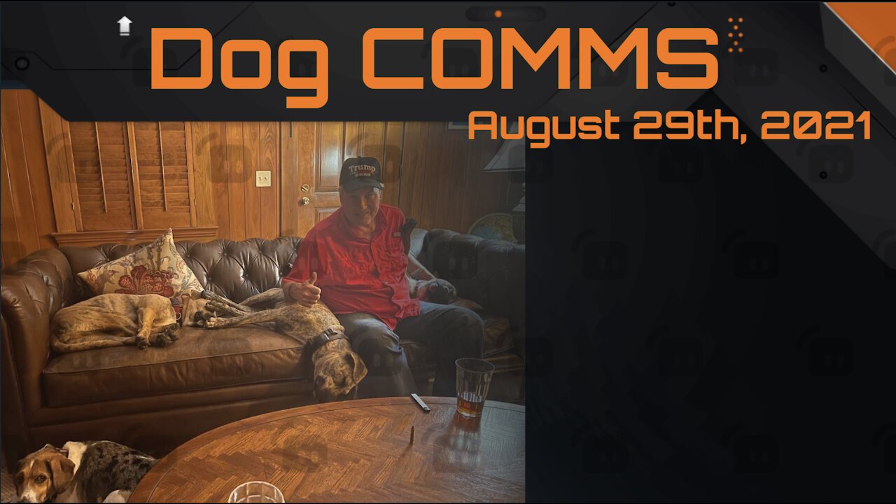 Dog COMMS -- August 29th, 2021