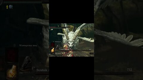 DAY 12 of Killing Bosses until next Witcher game release (ds1 Sanctuary Guardian)