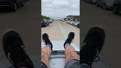 Law Street Beach Kook Patrol
