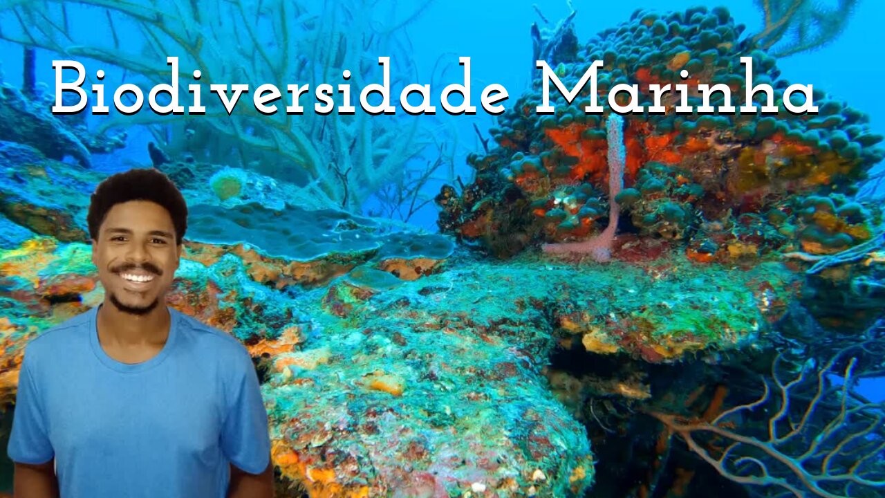 Biodiversidade Marinha