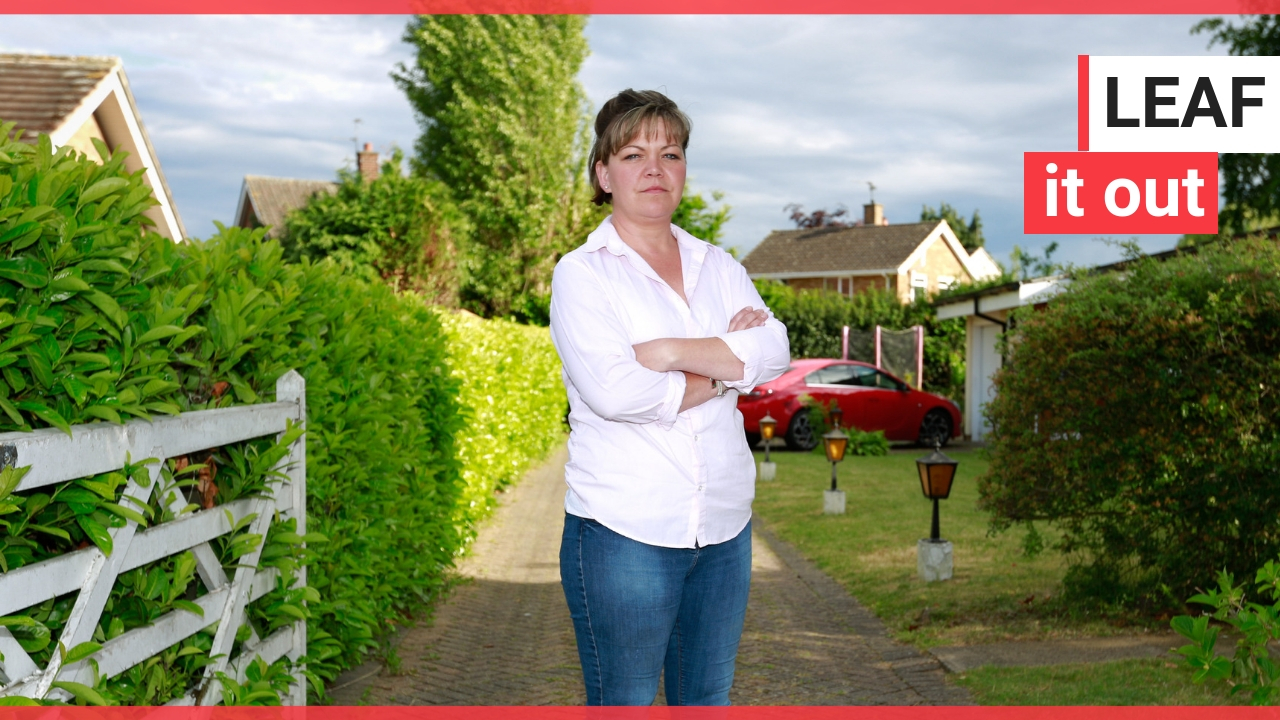 Two warring neighbours call police over a hedge