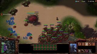 Session 5: Starcraft II (1v1 Matchmaking as Random)