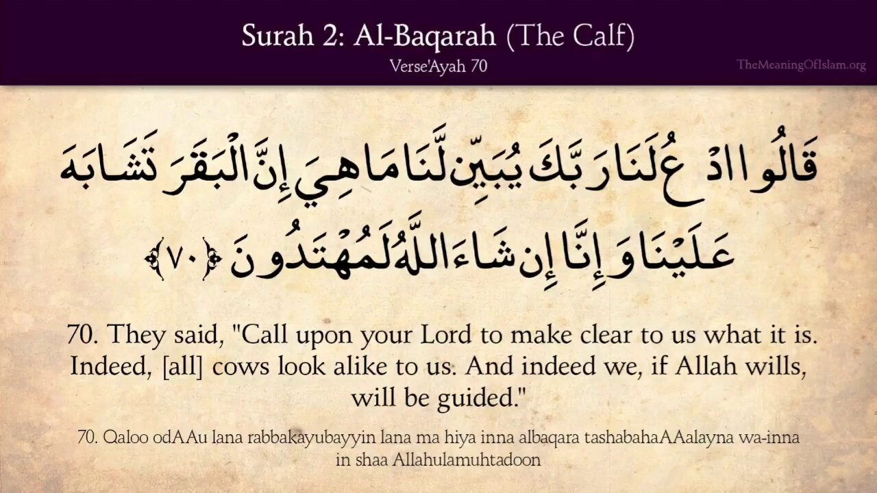 Coran 2 Sourate Al-Baqara Le Veau Page number 11 Traduction in Arabic and Anglais