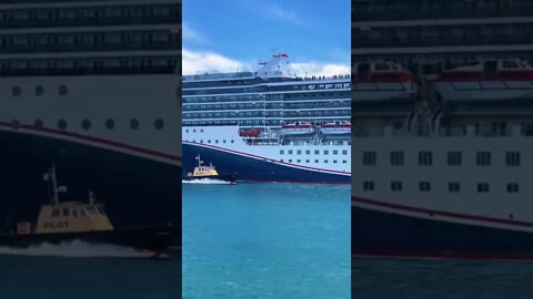 The Cruise Spotter