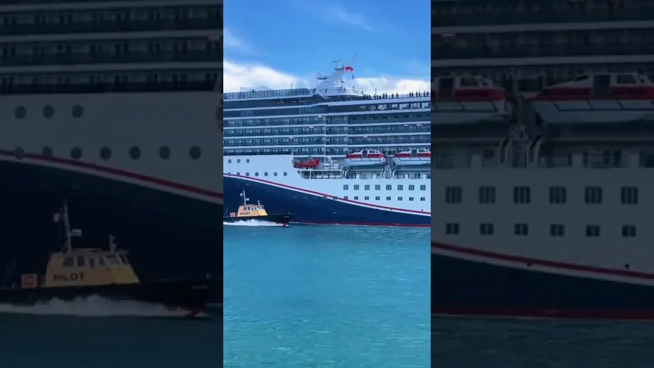 The Cruise Spotter