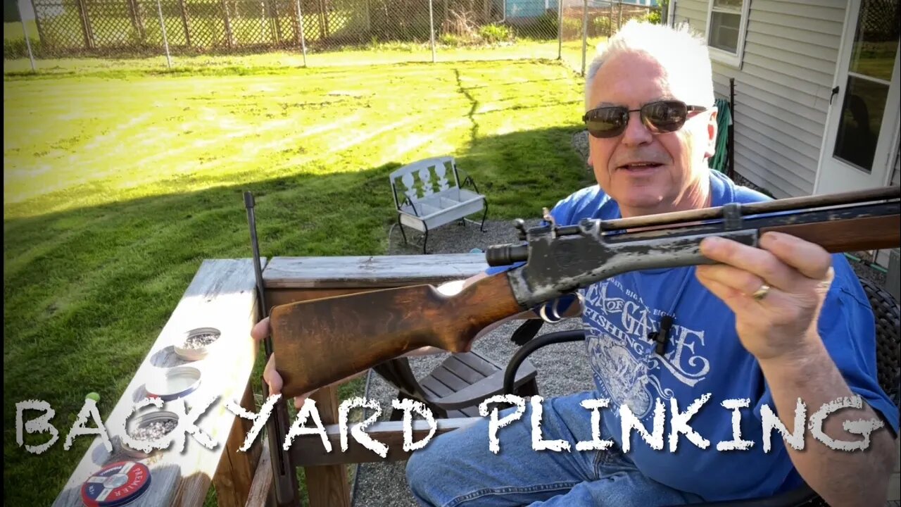 Backyard Plinking with the Crosman 101 and Webley and Scott Hawk mk3