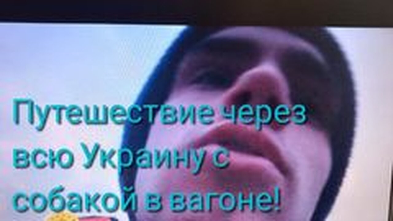 ШОК! ЧЕРЕЗ ВСЮ УКРАИНУ С СОБАКОЙ. 24 ЧАСА ПУТЕШЕСТВИЯ VLOG#4