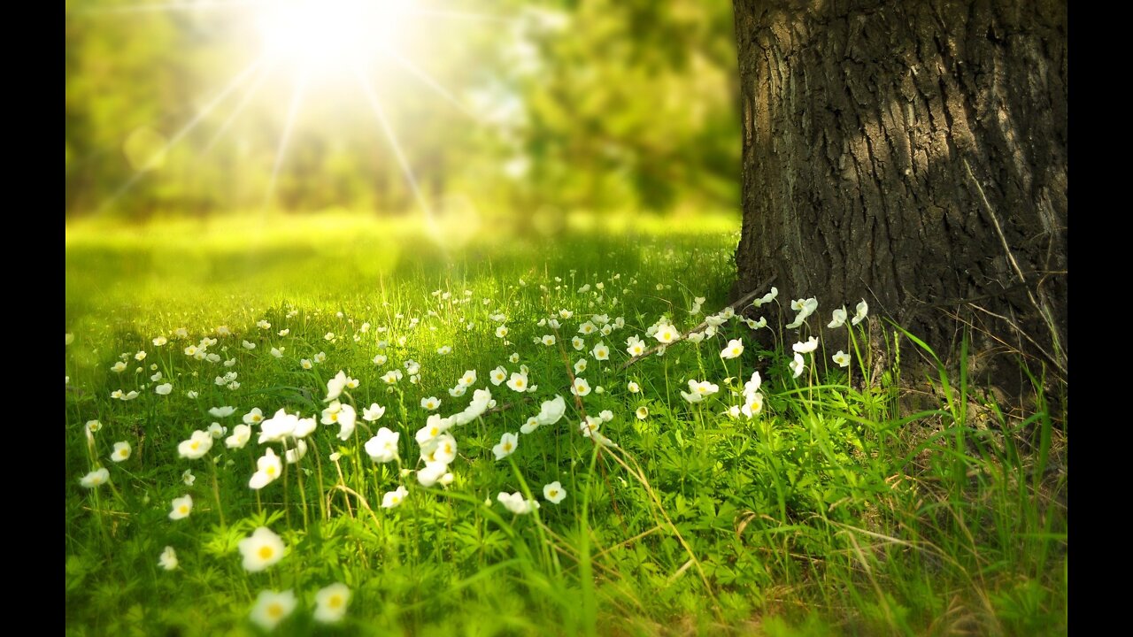 Music for meditation, to relax, to focus and for inner peace! relax music | relaxing music