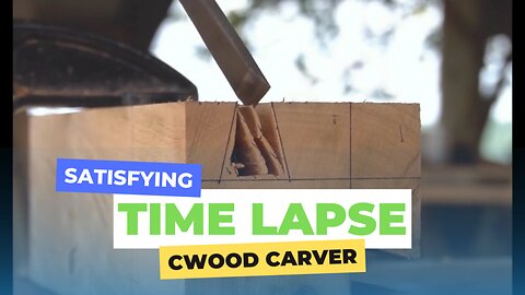 Interesting time lapse of a wood carver