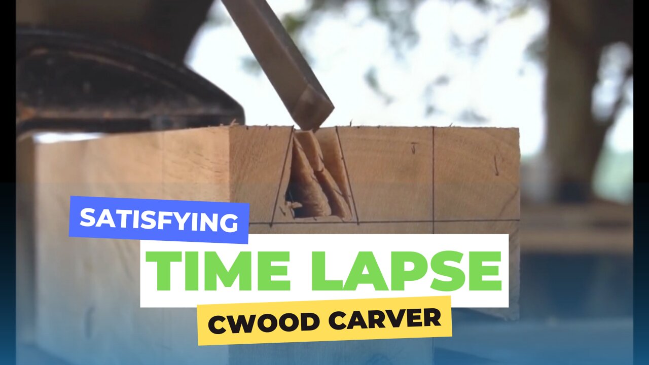 Interesting time lapse of a wood carver