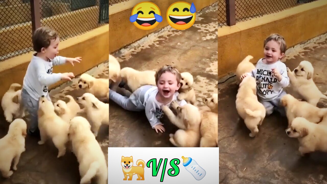 Cute puppy🐕V/S Cute Baby 🍼 | Funny kids video