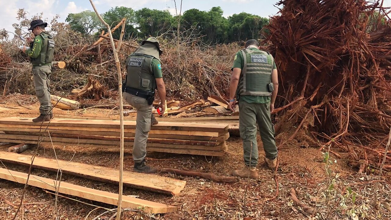 Cerrado perdeu área do tamanho de Palmas (TO) em 2022