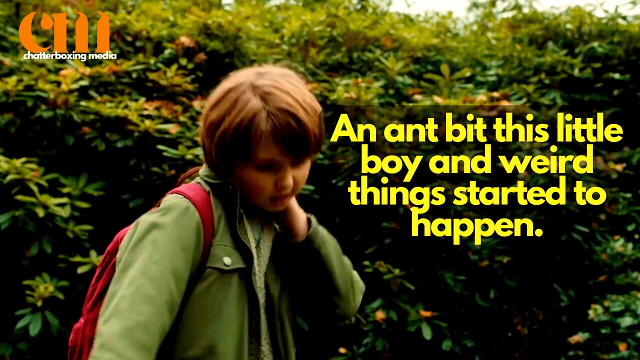 An Ant Bit this Little Boy and Weird Things Started to Happen