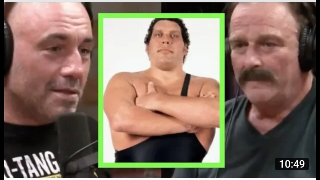 Joe Rogan - Jake The Snake on Andre the Giant