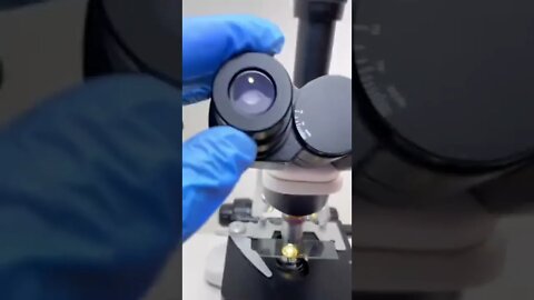 Microscope 🔬 after Looking extra large Viral and Trending Shorts for You #shorts (3)
