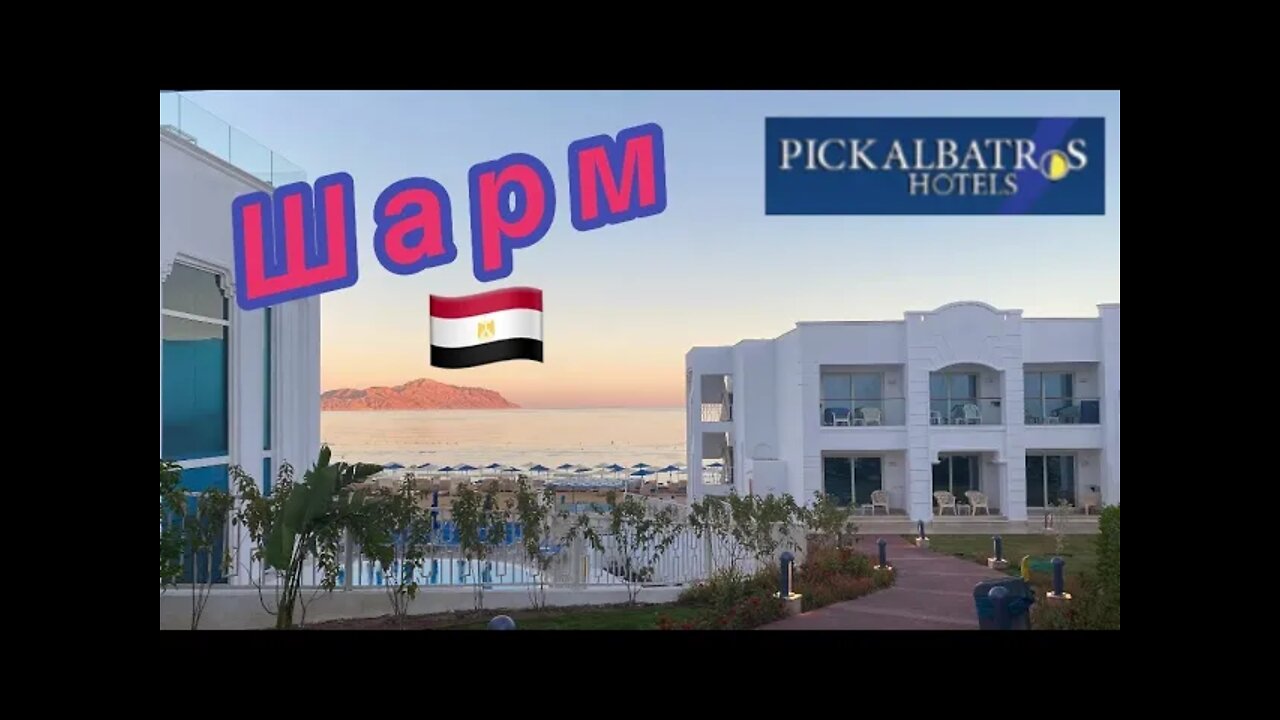 Albatros Palace Sharm El Sheikh Walkthrough/ Полный Обзор Отеля (4K)