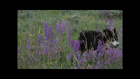 Climate Crisis In The West